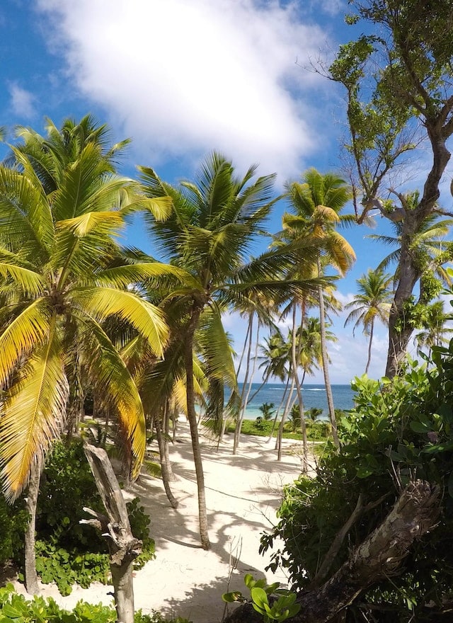 La Martinique: Une aventure inoubliable à Anses-d’Arlet, Pointe de la Caravelle, Anse Bonneville et Montagne Pelée